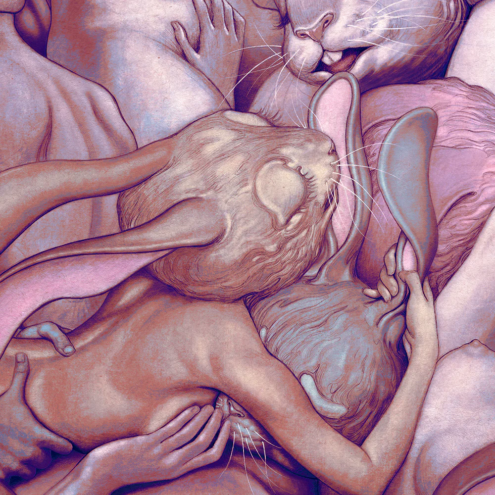 Lapins d'Amour - Image 4