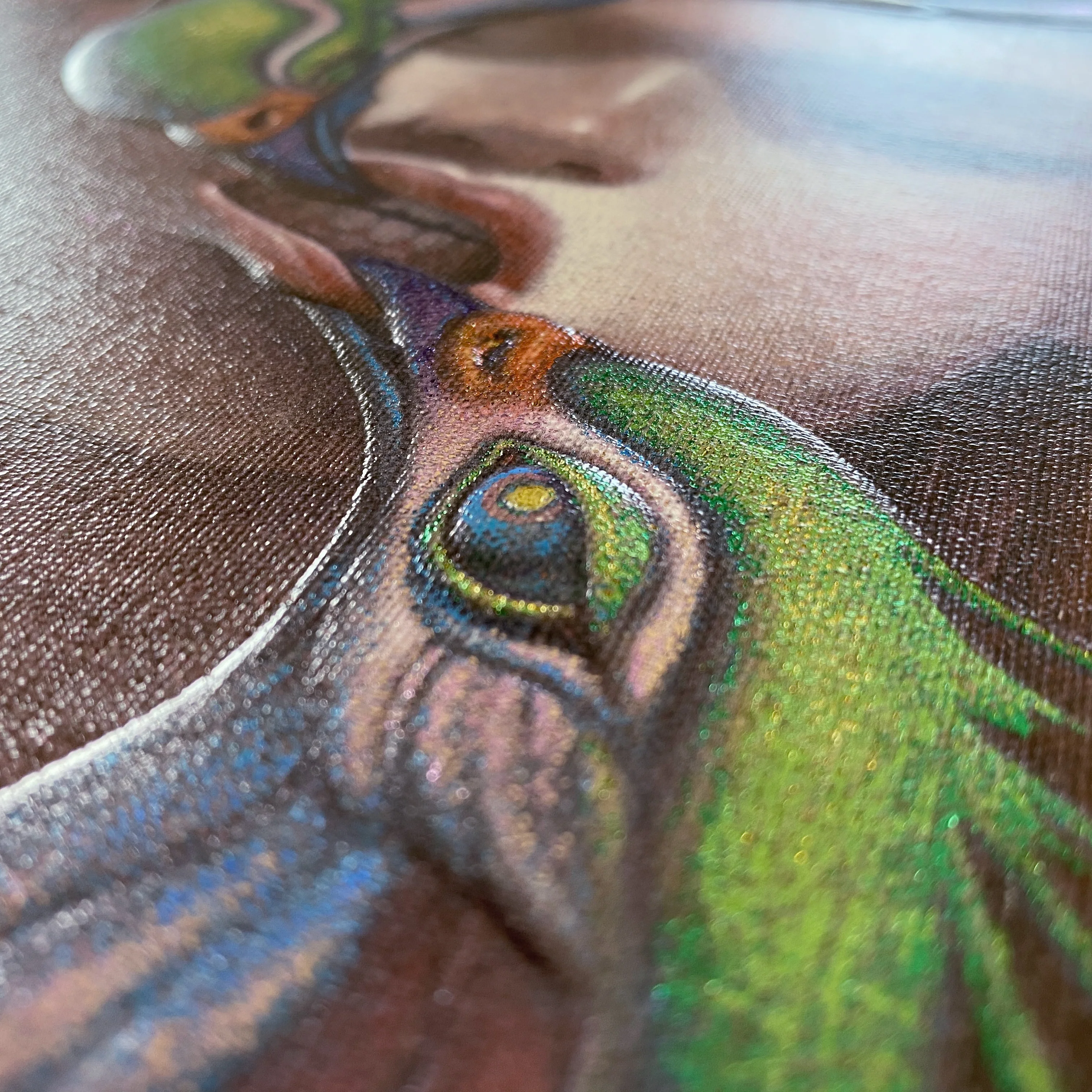 Lory - Image 3