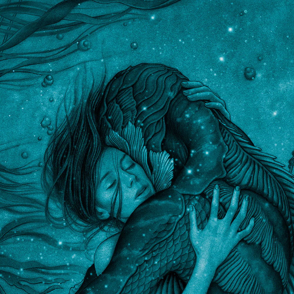 The Shape of Water - Image 5