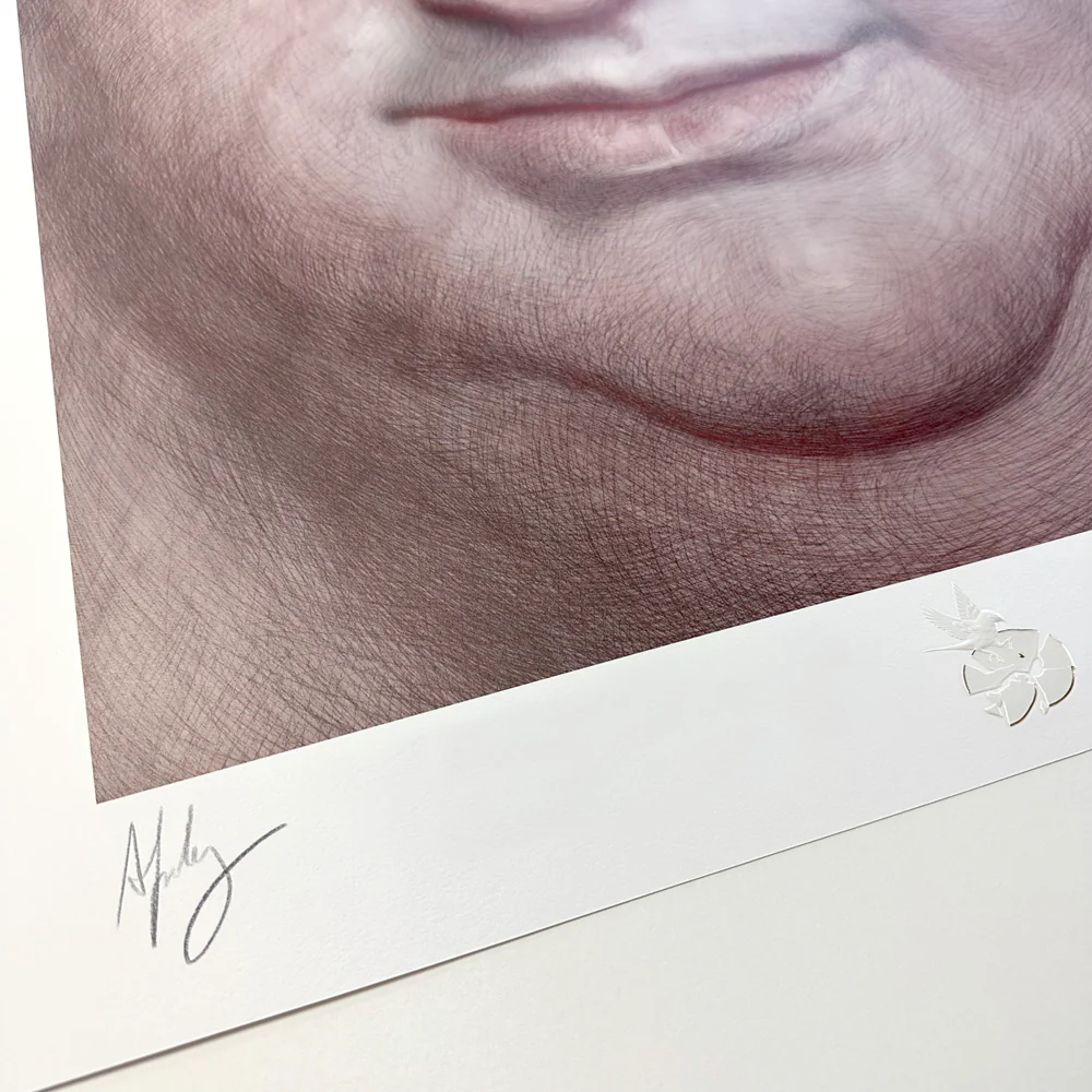 The Whale - Image 10