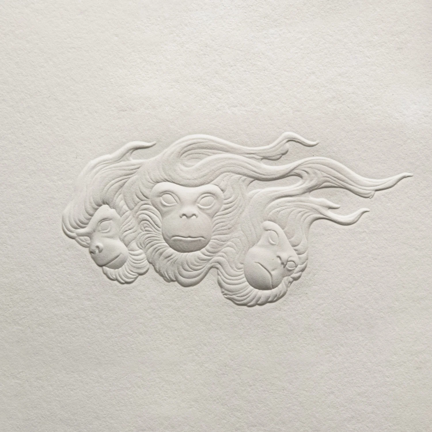 Year of the Monkey - Image 2